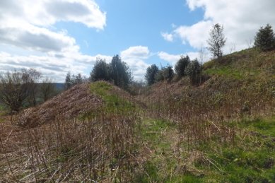 Bury Ditches