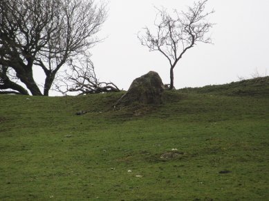 Standing stone