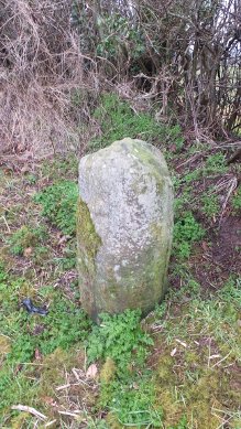 Stone