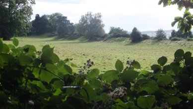 Rampart