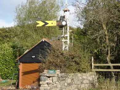 Signal