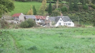 Bryndrinog