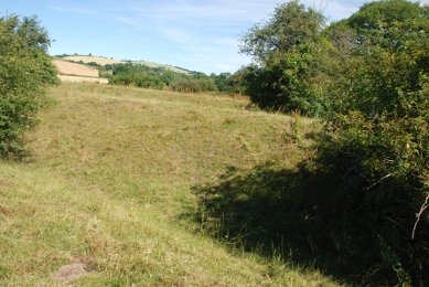 Bicton Ditches