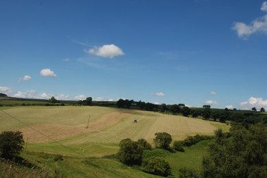 Hay
