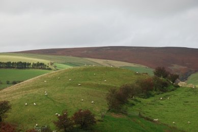 Hill Fort