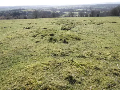Enclosure