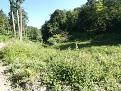 Fish Pool Valley