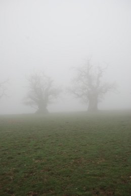 Ents