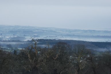 Mist