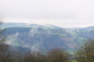 Mist