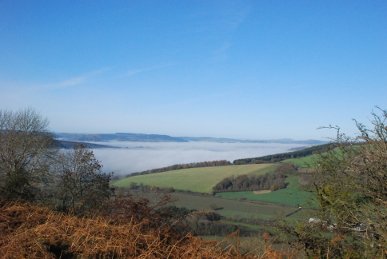 Mist