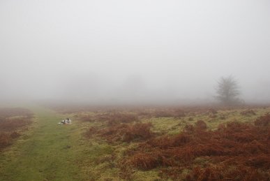 Croft Ambrey