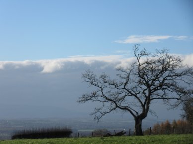 Cloud