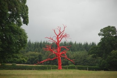 Red Tree