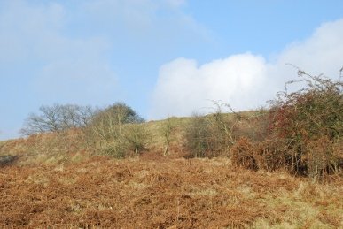 Croft Ambrey