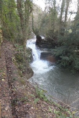 Dulas Brook