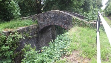 Bridge