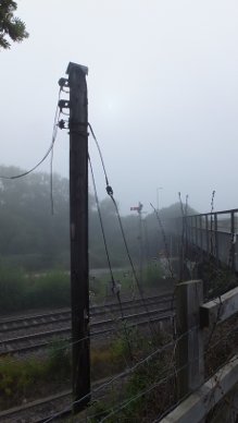 Fog