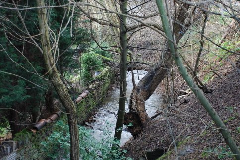 Dearne