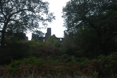 Castle