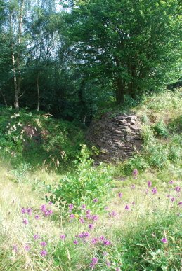 Buttress