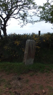 Stone
