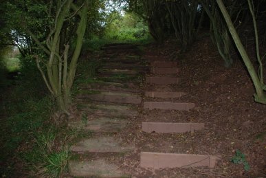 Steps