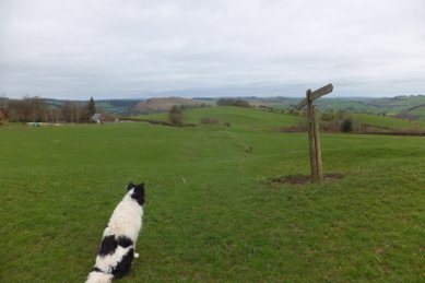 Offa's Dyke