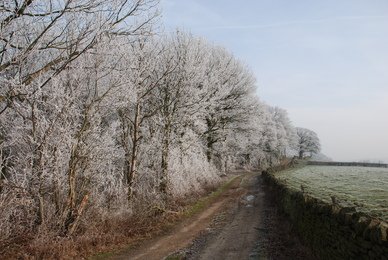Frost