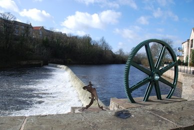 Weir