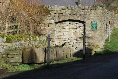 Trough