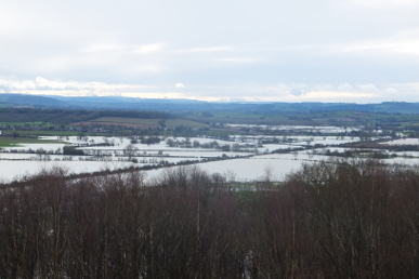 Flooding south of Dinmore Hill Flooding