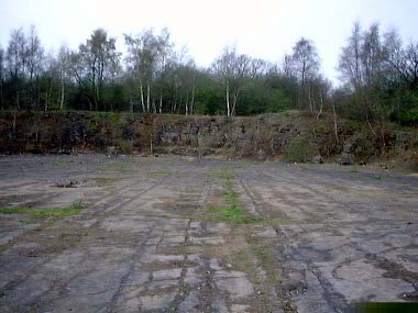 Fossilised sea bed Seabed