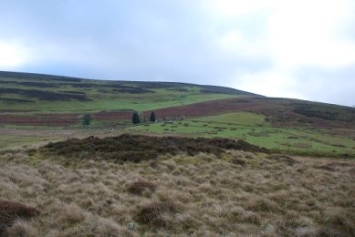 Barrow