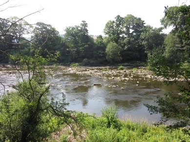 Wye