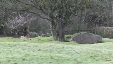 Long Barrow
