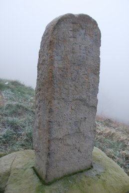 Birley Stone