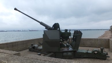 Gun