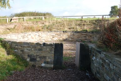 Pinfold