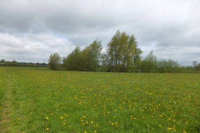 Lugg Meadows