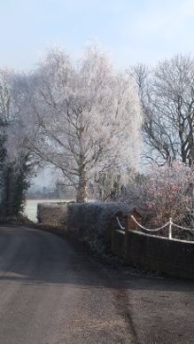 Frost