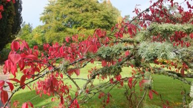 Hergest Croft