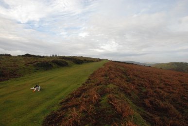 Old Racecourse