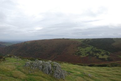 Hergest Ridge