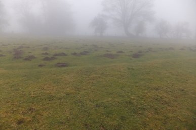 Molehills