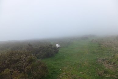 Ridge