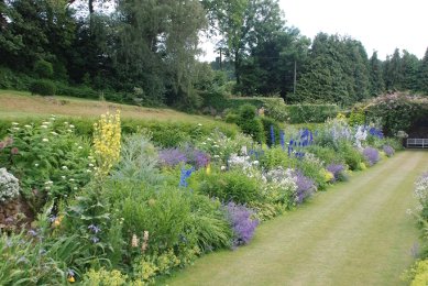 Herbaceous border