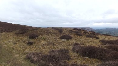 Barrow