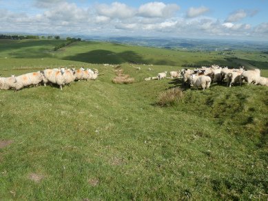 Cross Dyke