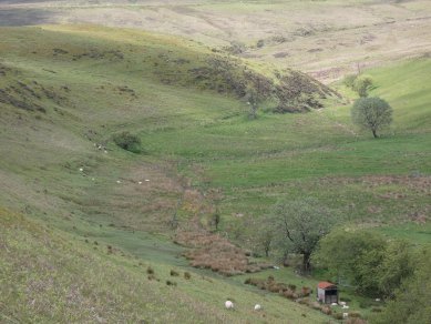 Source of River Teme